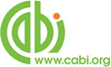 Victoria Davies, Publishing Marketing Manager