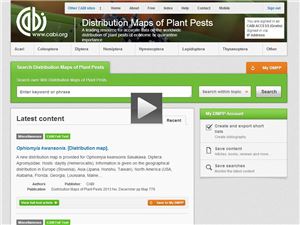 DMPP training video