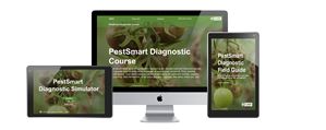 PestSmart image