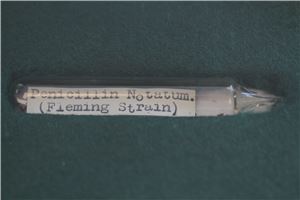 Presentation box of Fleming's Penicillium freeze dried