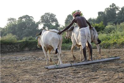 Ploughing