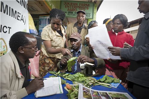 Plant Health Clinic during market day in the village of Wangigi, in Kikuyu district, 30 kilometers outside the capital Nairobi. Farmers visiting the market can come to see a plant doctor and show them samples of their crops. The professionals sitting behind a table use their knowledge, a microscope and reference material to diagnose the disease, virus, parasite, or other problem the crop is suffering from. With the doctors prescription farmers can get the right pesticides, or treatment for their crops. The Plants Clinics are organized by Cabi Africa, part of an international intergovernmental institute, CABI improves people's lives worldwide by providing information and applying scientific expertise to solve problems in agriculture and the environment.