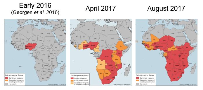 FAW Distribution Maps