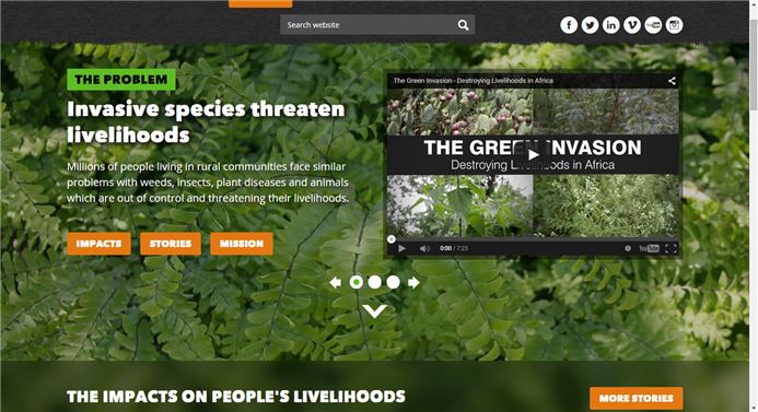 Screenshot of IS microsite homepage