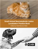 Book cover for Small animal neuroanatomic lesion localization practice book.