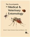 Cover for Flesh flies (Diptera: Sarcophagidae).