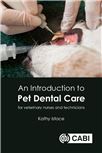 Cover for An introduction to pet dental care: for veterinary nurses and technicians.