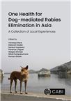 Cover for Conclusions.