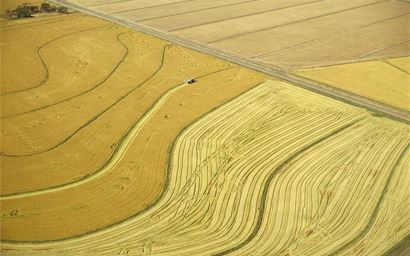 "This view shows contrasting types of planting; in the foreground using the older contour bank method, and in the background the more recent rectangular laser levelled rice paddocks. 1991"