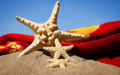 starfish in the sand against a blue sky