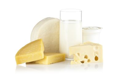 Dairy Products against white background. A glass of milk is in the center and a various types of cheese are around it. Beside the glass is a cup of yogurt. Visible reflection on foreground. Predominant colors are white and yellow. DSRL studio shot with Canon EOS 5D Mk II