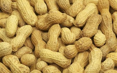 peanuts in their shells