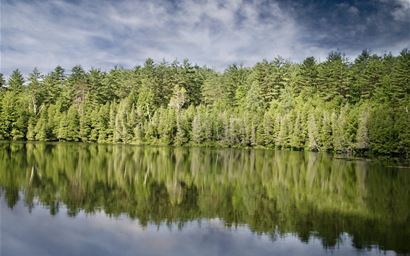 Temperate forest and lake