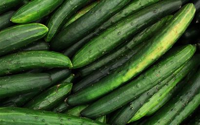 a pile of cucumbers