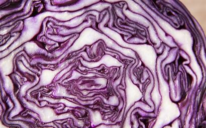 Red cabbage.