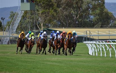 Thoroughbred horses racing
