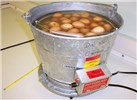 Cover for eggs, poultry