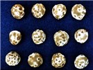 Symptoms on apricot stones Typical symptoms of plum pox virus infection on apricot stones visible as discoloured rings.