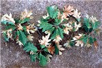 Symptoms on oak leaves Oak leaf scald symptoms, Washington D.C. (USA).