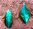 Symptoms on orange leaves Chlorotic lesions on leaves characteristic of variegated chlorosis in sweet orange (Brazil).