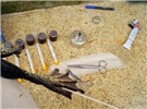 Swabbing Chytridiomycosis; swabbing the hindfoot webbing of a North American bullfrog. to test for infection by the fungus Batrachochytrium dendrobatidis.