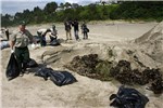 Marine organisms removed from the Agate Beach derelict dock were buried landward from the site Oregon Department of Fish & Wildlife staff and volunteers removed around a ton and a half of plant and animal material, which were then buried, landward from the site approx. 2.4m deep far above the furthest reach of high tides and storm surges.