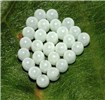 Egg mass Egg mass of brown marmorated stink bug (Halyomorpha halys)