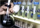 Rotifer stock cultures Rotifer stock cultures kept in closed vials on a rotor are fed with algae.