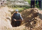 Control measures Rhynchophorus ferrugineus (red palm weevil); cutting and burying of heavily infested date palm to control R. ferrugineus.