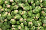 Harvested 'sprouts Brassica oleracea var. gemmifera (Brussels sprouts); harvested 'sprouts at point of sale. July 2011.
