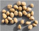 Seeds P. cattleianum seeds.