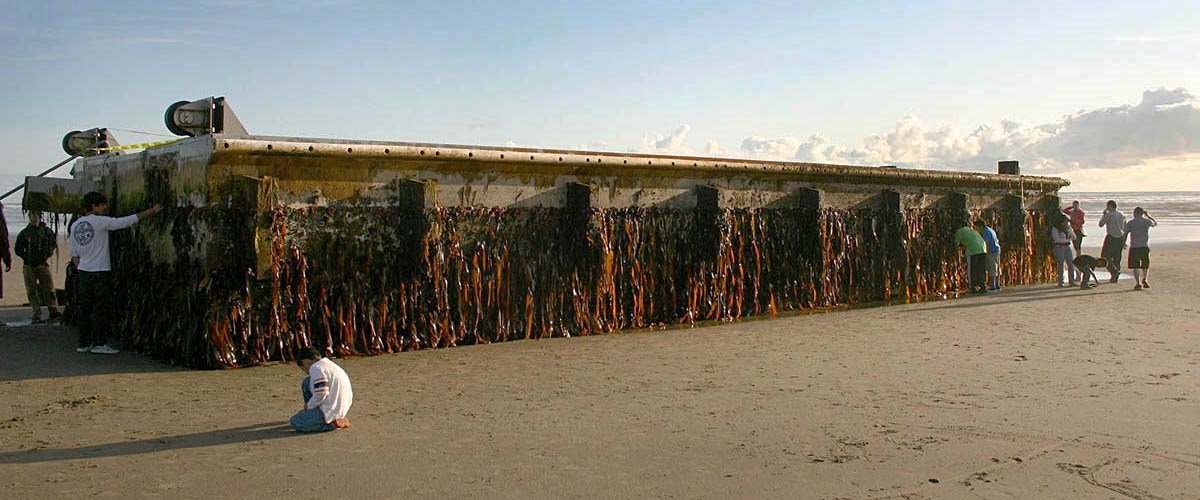 Debris from the March 2011 Tohuku tsunami A 66' long concrete dock, debris from the March 2011 tsunami in Tohuku, Japan, which washed ashore at Agate Beach one mile north of Newport, Oregon, USA on June 5 2012.