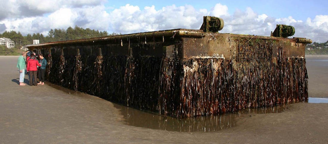 Debris from the March 2011 Tohuku tsunami A 66' long concrete dock, debris from the 2011 tsunami in Tohuku, Japan, which washed ashore at Agate Beach one mile north of Newport, Oregon, USA, on June 05 2012.