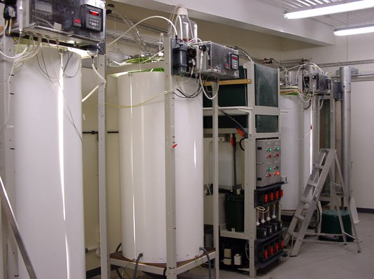 Artificially illuminated photbiorectors Artificially illuminated photbiorectors for in-door use, produced by BioProcess. The reactor volume is 600 litres and illumination is provided by 2-4 kW of fluorescent lighting placed on the inside of the white reflecting cylindrical back plates.
