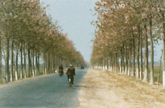 Avenue