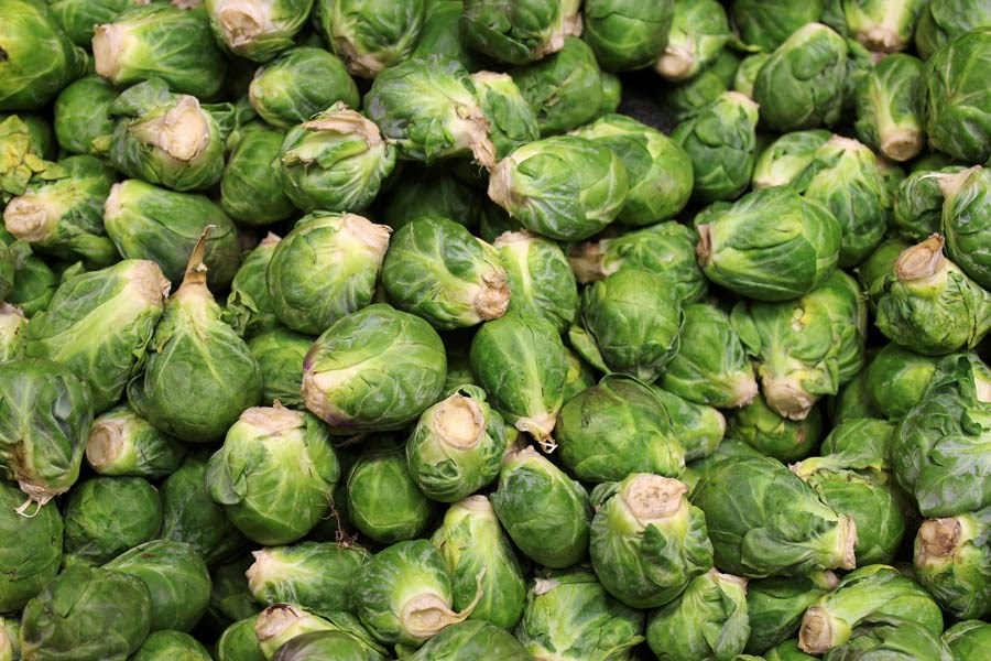 Harvested 'sprouts Brassica oleracea var. gemmifera (Brussels sprouts); harvested 'sprouts at point of sale. July 2011.