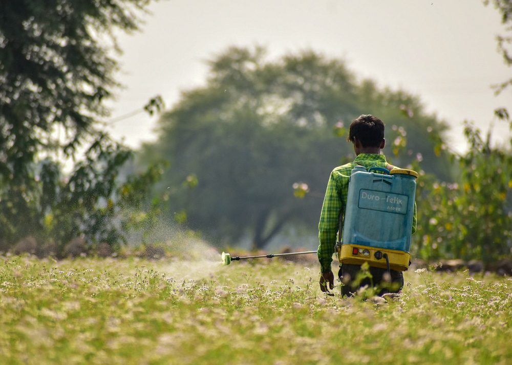 Farmer spraying pesticides