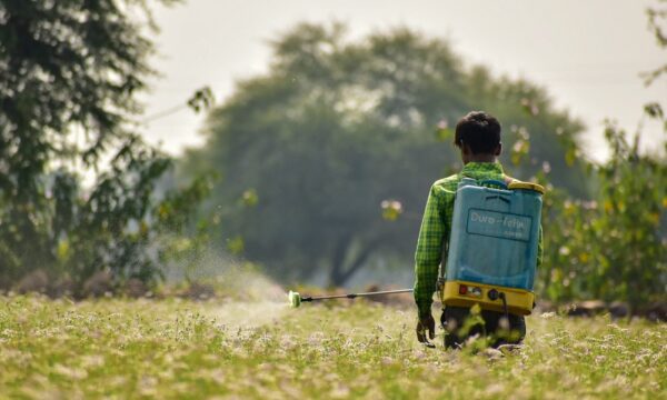 Farmer spraying pesticides