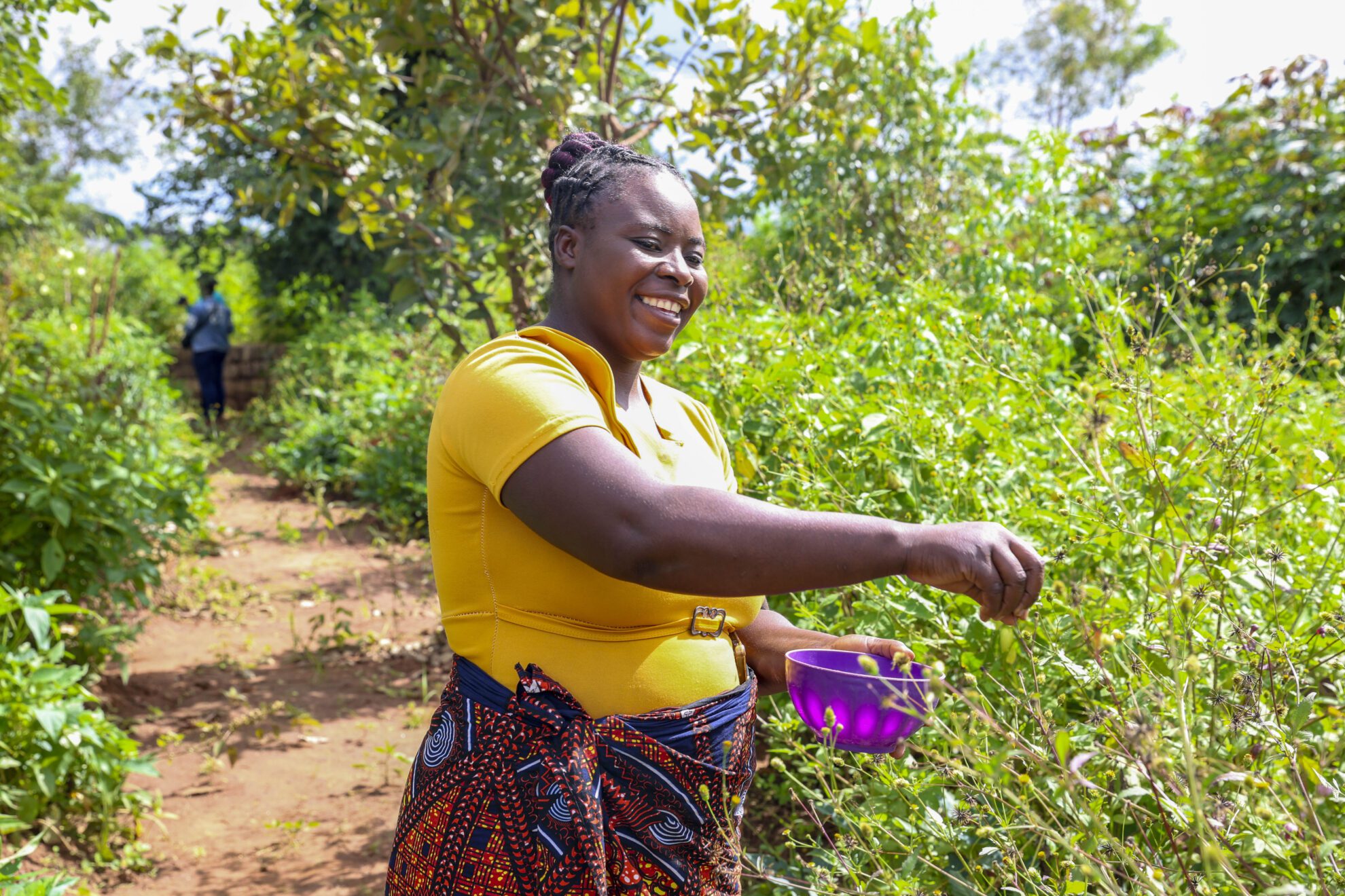 Invasives-fall Armyworm-Zambia- village-biocontrol-March-2026-Chongwe