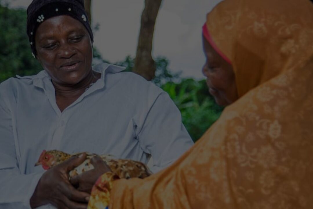 Zoonoses systematic map