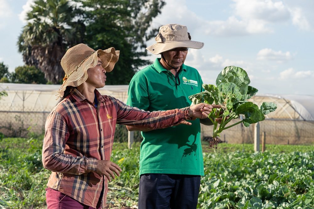 Plantwise Planto Doctors promote the benefits of natural pestidices to farmers in Cambodia