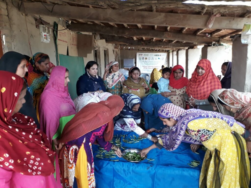 Development of value added products and marketing by small rural enterprise in Sindh