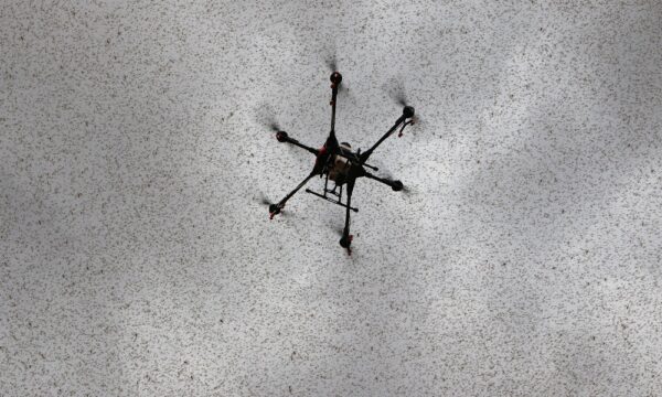 (3) Drone in Sky