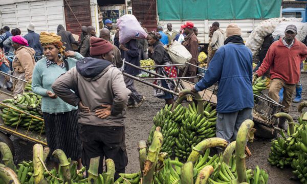 Nairobi market - bananas