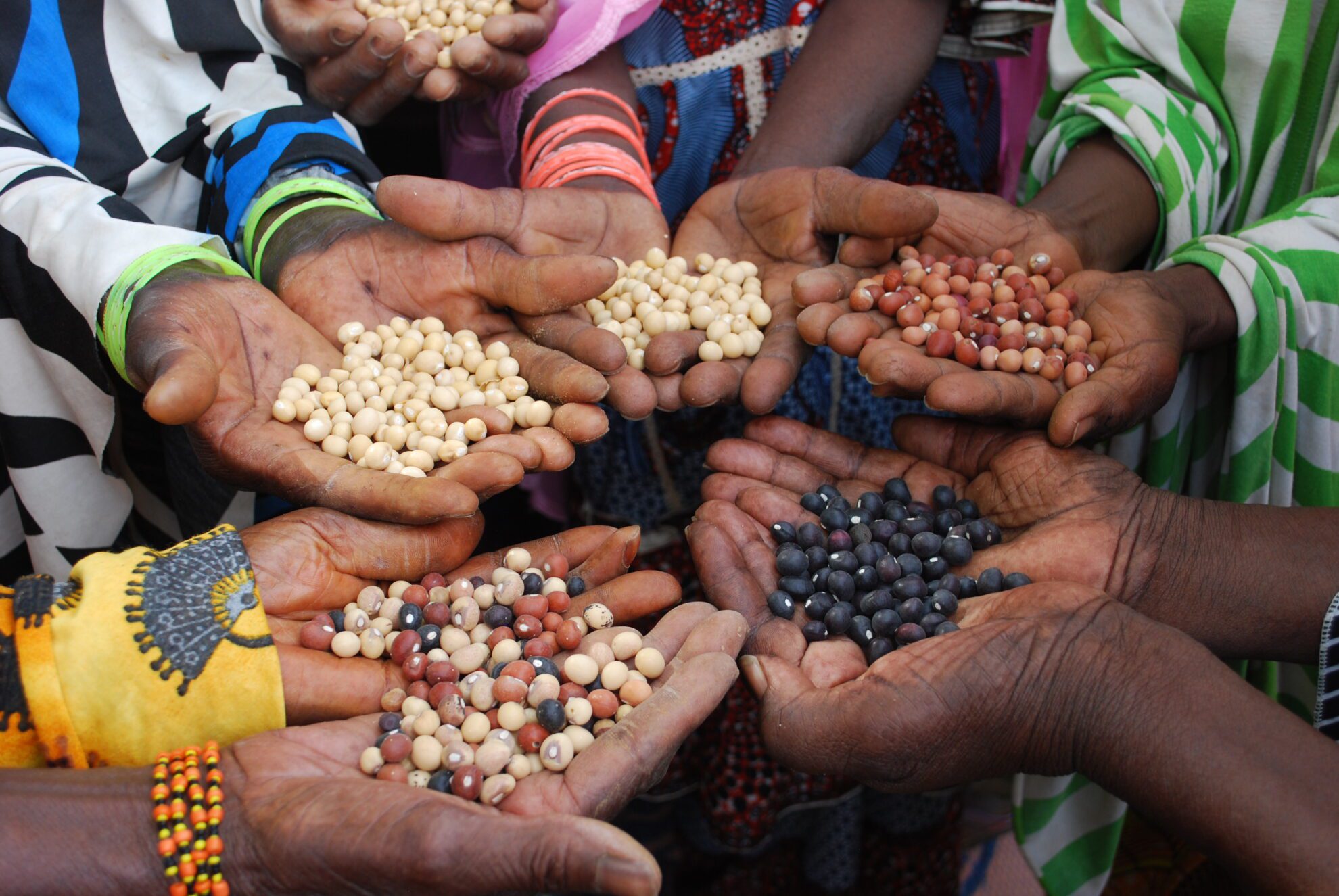 52790584173_c90c5c538a_o