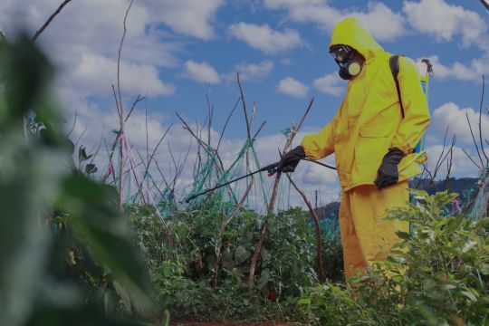 Someone wearing PPE spraying their crops