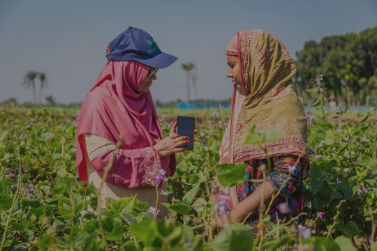 An extension worker showing someone a phone