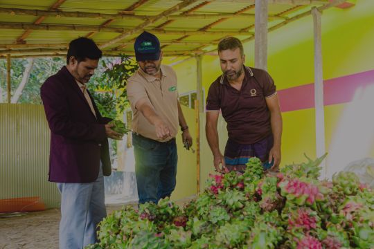 Skills Framework for Agriculture