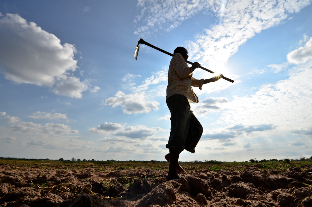 7489640668_c432123374_o