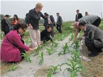 Steering committee field visit